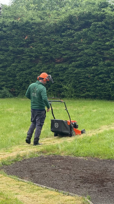 Worker operating a red and black walk-behind lawn mower on green grass with dense hedges in the background